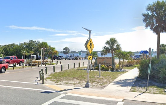 Nesting Loggerhead Sea Turtle Fatally Struck by Vehicle on Anna Maria Island