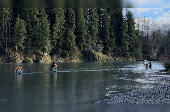 New Fishing License Requirements for Smelt, Crawfish, and Carp Take Effect in Washington