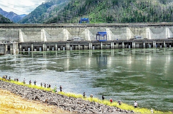 New Fishing Rules on Lower Columbia River Set for Summer, WDFW Balances Harvest and Conservation