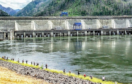 New Fishing Rules on Lower Columbia River Set for Summer, WDFW Balances Harvest and Conservation