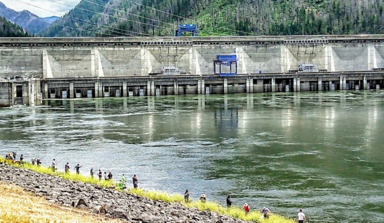 New Fishing Rules on Lower Columbia River Set for Summer, WDFW Balances Harvest and Conservation