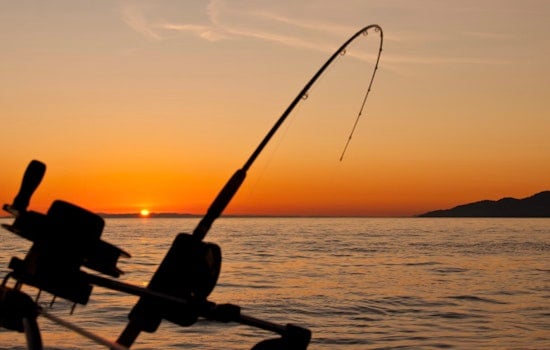 New Summer Fishing Regulations Announced for Lower Columbia River Starting June 16