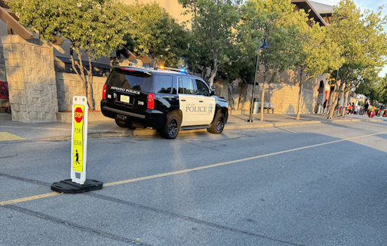 Novato Police Thwart Organized Retail Crime, Three Suspects from Eureka and Mountain View Arrested
