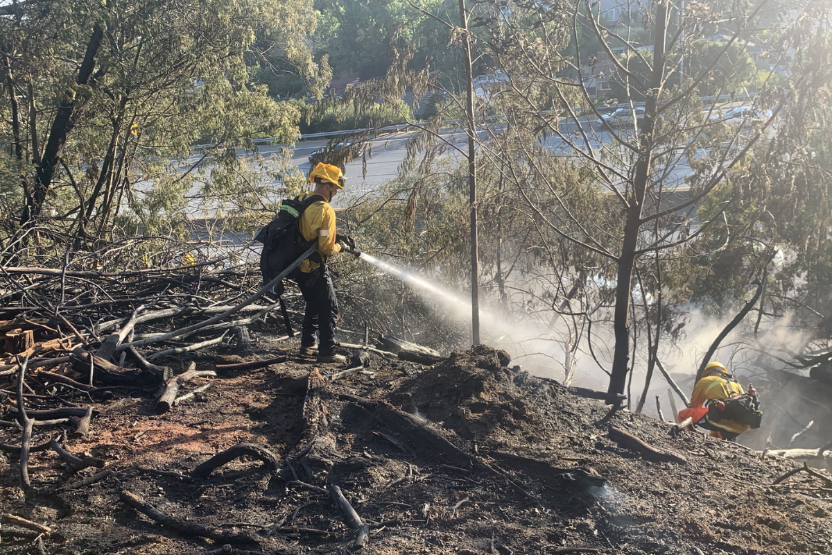 Oakland Firefighters Swiftly Contain I-580 Vegetation Blaze, Commuters