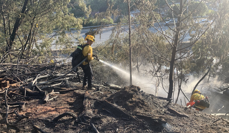 Oakland Firefighters Swiftly Contain I-580 Vegetation Blaze, Commuters Face Lane Closures and Delays