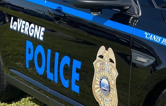 One Hospitalized, Suspect in Custody After Shooting in La Vergne