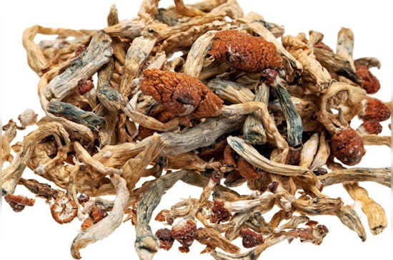 Oregon Healthcare Providers Sue Over Psilocybin Law, Citing Discrimination Against Homebound Patients