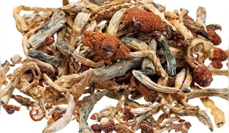 Oregon Healthcare Providers Sue Over Psilocybin Law, Citing Discrimination Against Homebound Patients