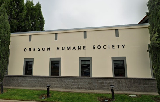 Oregon Humane Society Reopens Doors for Walk-in Pet Adoptions at Portland Campus