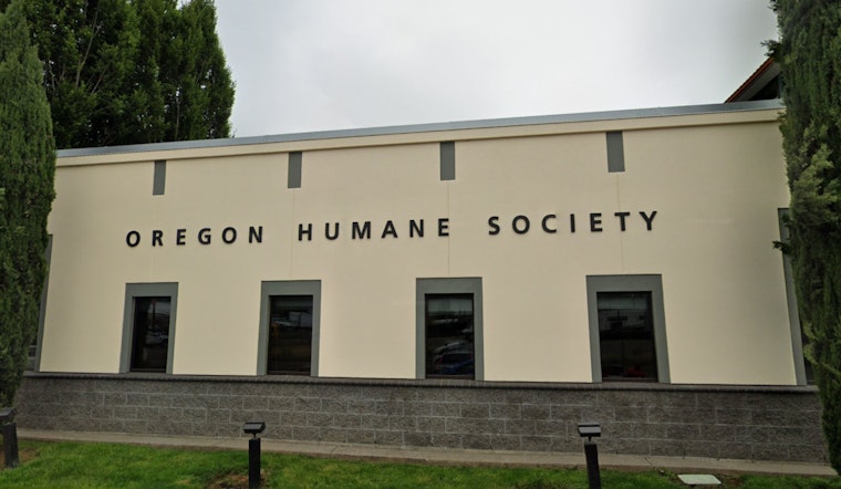 Oregon Humane Society Reopens Doors for Walk-in Pet Adoptions at Portland Campus