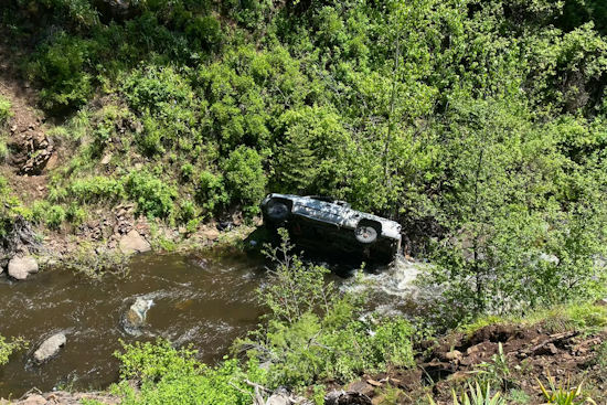 Oregon Man Rescued After Loyalty of Pet Dog Leads to Dramatic Search Operation