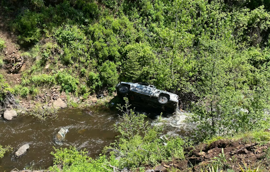 Oregon Man Rescued After Loyalty of Pet Dog Leads to Dramatic Search Operation
