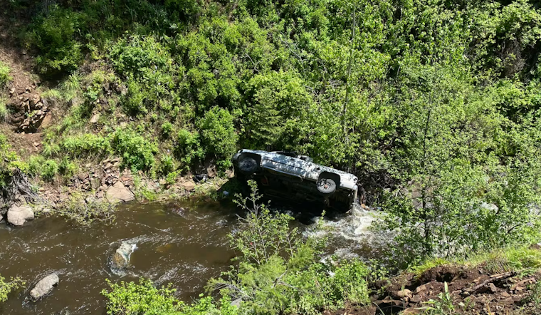 Oregon Man Rescued After Loyalty of Pet Dog Leads to Dramatic Search Operation