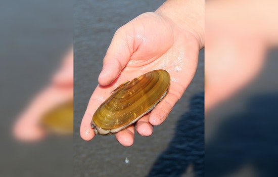 Oregon Shuts Down All Clam Harvesting on Coast Due to 'Historic' Marine Biotoxin Levels