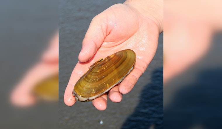 Oregon Shuts Down All Clam Harvesting on Coast Due to 'Historic' Marine Biotoxin Levels