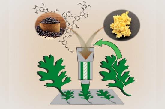 ORNL Unleashes Eco-Friendly "Smart" Polymers, Reusable and Biodegradable Revolution in Manufacturing