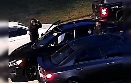 Over 70 Vehicles Vandalized in Break-In Spree Across Roxborough, Andorra, and Cheltenham Township