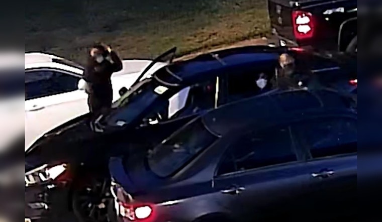 Over 70 Vehicles Vandalized in Break-In Spree Across Roxborough, Andorra, and Cheltenham Township