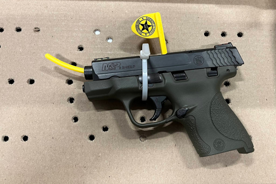 Pacifica Resident Arrested for Negligent Discharge of Firearm Amidst Family Disturbance on Franz Court