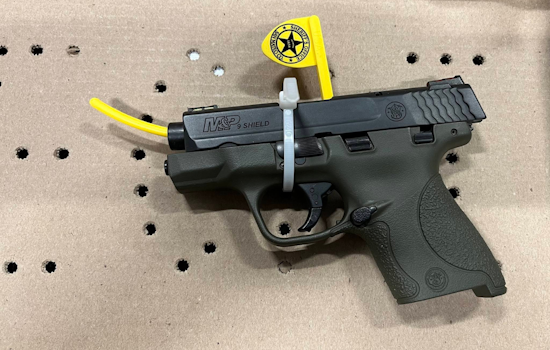 Pacifica Resident Arrested for Negligent Discharge of Firearm Amidst Family Disturbance on Franz Court