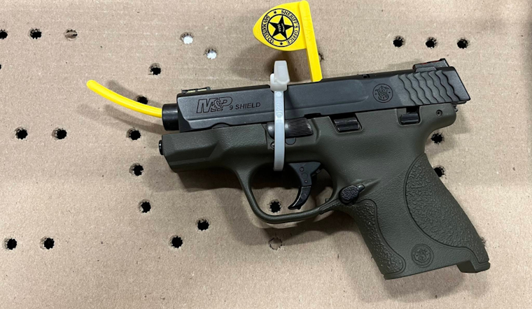 Pacifica Resident Arrested for Negligent Discharge of Firearm Amidst Family Disturbance on Franz Court