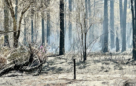 Palm City Brush Fire Fully Contained After Burning 200 Acres Near Stuart West Cobblestone Community