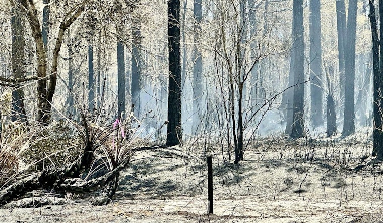 Palm City Brush Fire Fully Contained After Burning 200 Acres Near Stuart West Cobblestone Community
