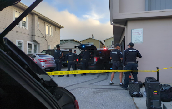 Peaceful Resolution in San Bruno as Standoff Ends with Suspect's Surrender on Huntington Ave