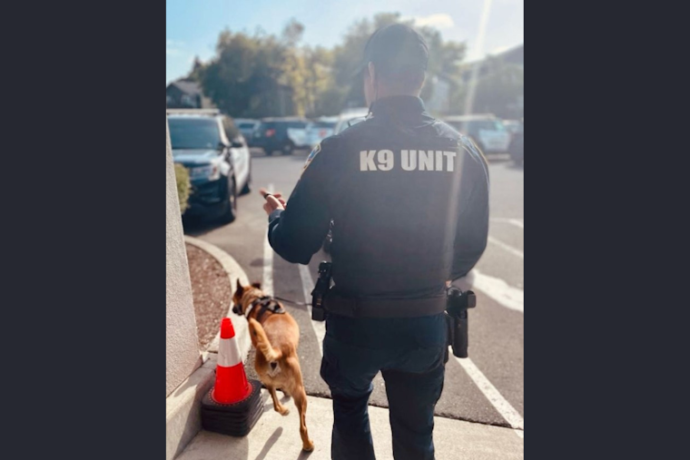 Petaluma Police Nab Two on Multiple Charges Including Shoplifting and Drug Possession Following Tip-off