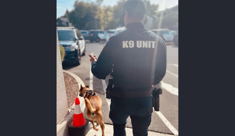 Petaluma Police Nab Two on Multiple Charges Including Shoplifting and Drug Possession Following Tip-off