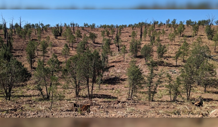 Phase 2 of Dude Fire Restoration Project Commences to Protect Arizona's Tonto National Forest