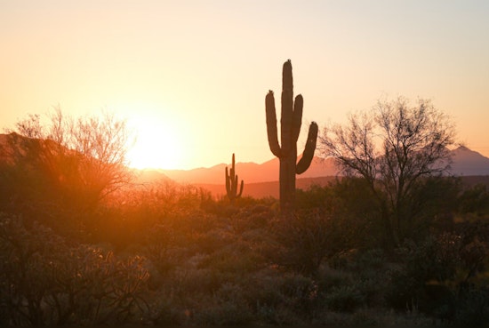 Phoenix Braces for Blazing Triple-Digit Heatwave, Chance of Showers Offers Slight Reprieve