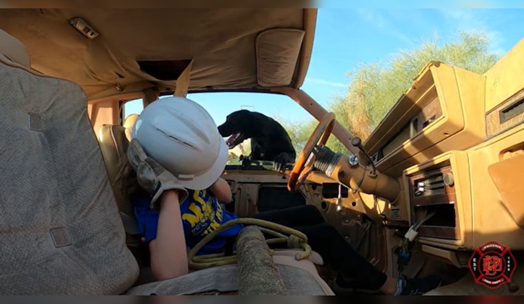 Phoenix Fire Department Canines Train Tirelessly for Search and Rescue Missions