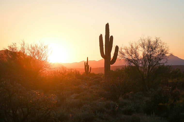 Phoenix Gears Up for Intense Heat Wave, Temperatures to Reach 113 Degrees Amid Juneteenth Festivities