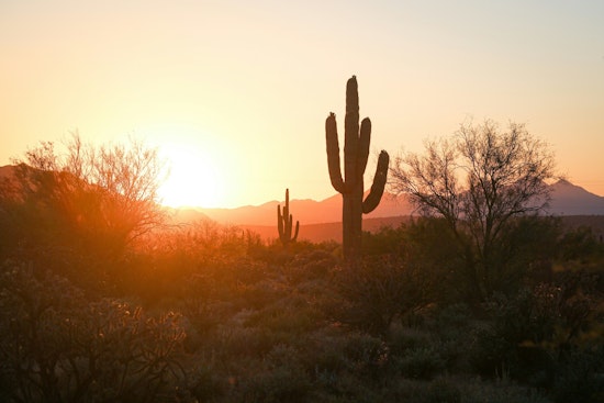 Phoenix Gears Up for Intense Heat Wave, Temperatures to Reach 113 Degrees Amid Juneteenth Festivities