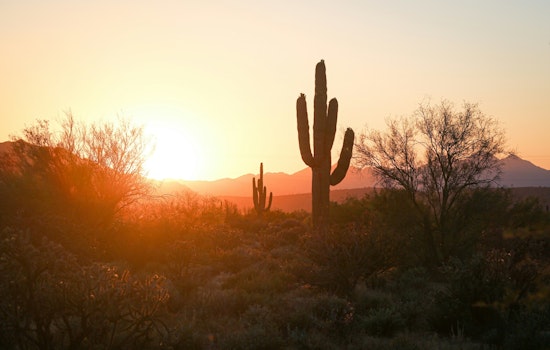 Phoenix Gears Up for Intense Heat Wave, Temperatures to Reach 113 Degrees Amid Juneteenth Festivities