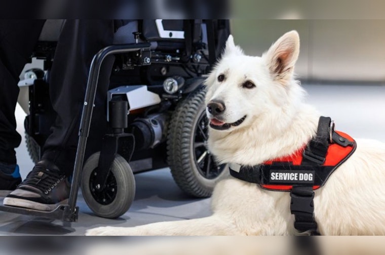 Phoenix Hosts Service Animal Awareness Webinar to Educate Public on Rights and Etiquette