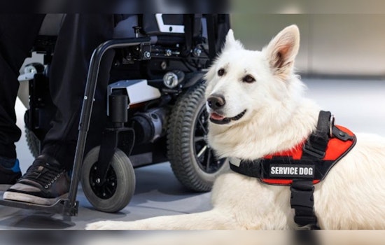 Phoenix Hosts Service Animal Awareness Webinar to Educate Public on Rights and Etiquette