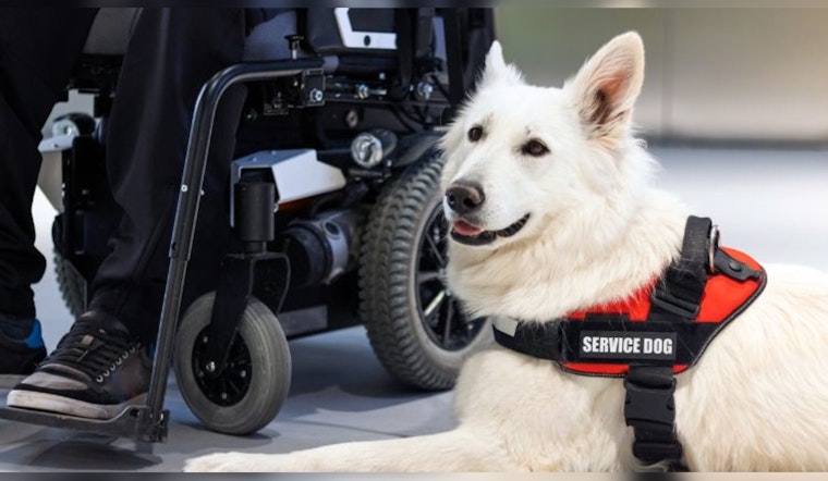 Phoenix Hosts Service Animal Awareness Webinar to Educate Public on Rights and Etiquette