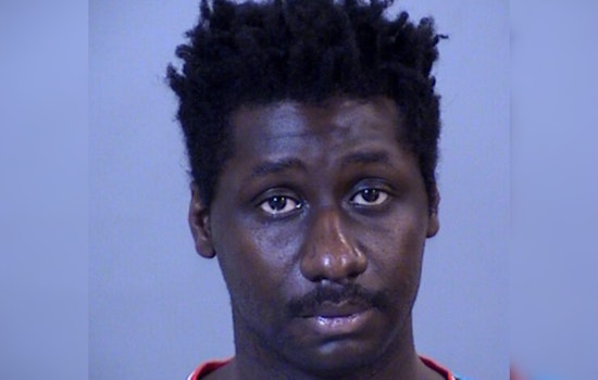 Phoenix Man, Walter Ringfield, Faces Charges for Thefts at Maricopa Election Center and Arizona Senate