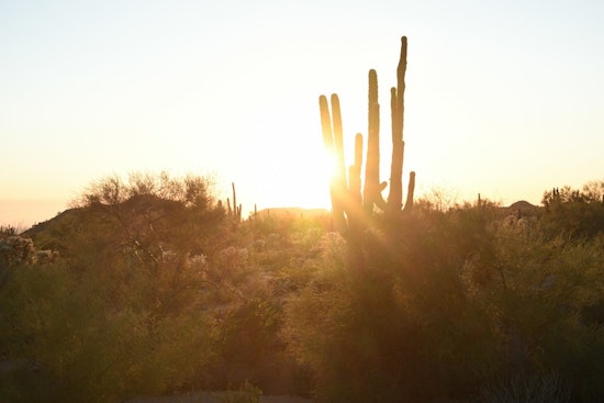   Phoenix Temperatures to Hit Sweltering 109 Degrees with Potential for Monsoon Relief Next Week