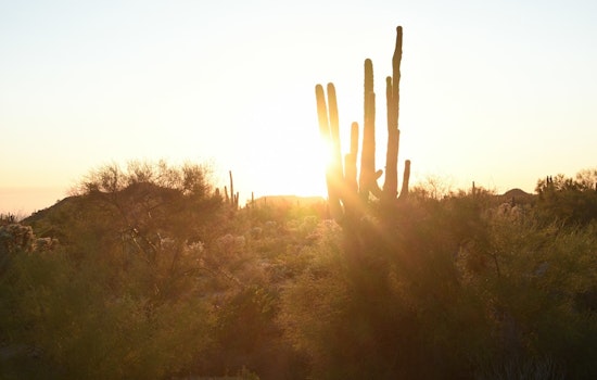 Phoenix Temperatures to Hit Sweltering 109 Degrees with Potential for Monsoon Relief Next Week