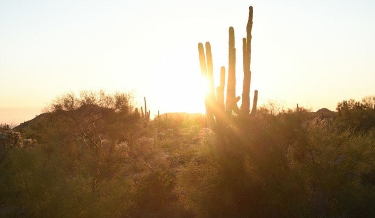 Phoenix Temperatures to Hit Sweltering 109 Degrees with Potential for Monsoon Relief Next Week