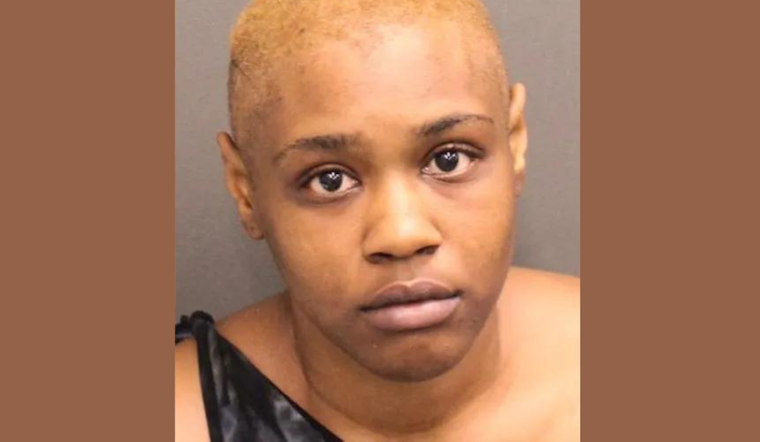 Polk County Mother Accused of Running Over Partner and Toddler in Orlando