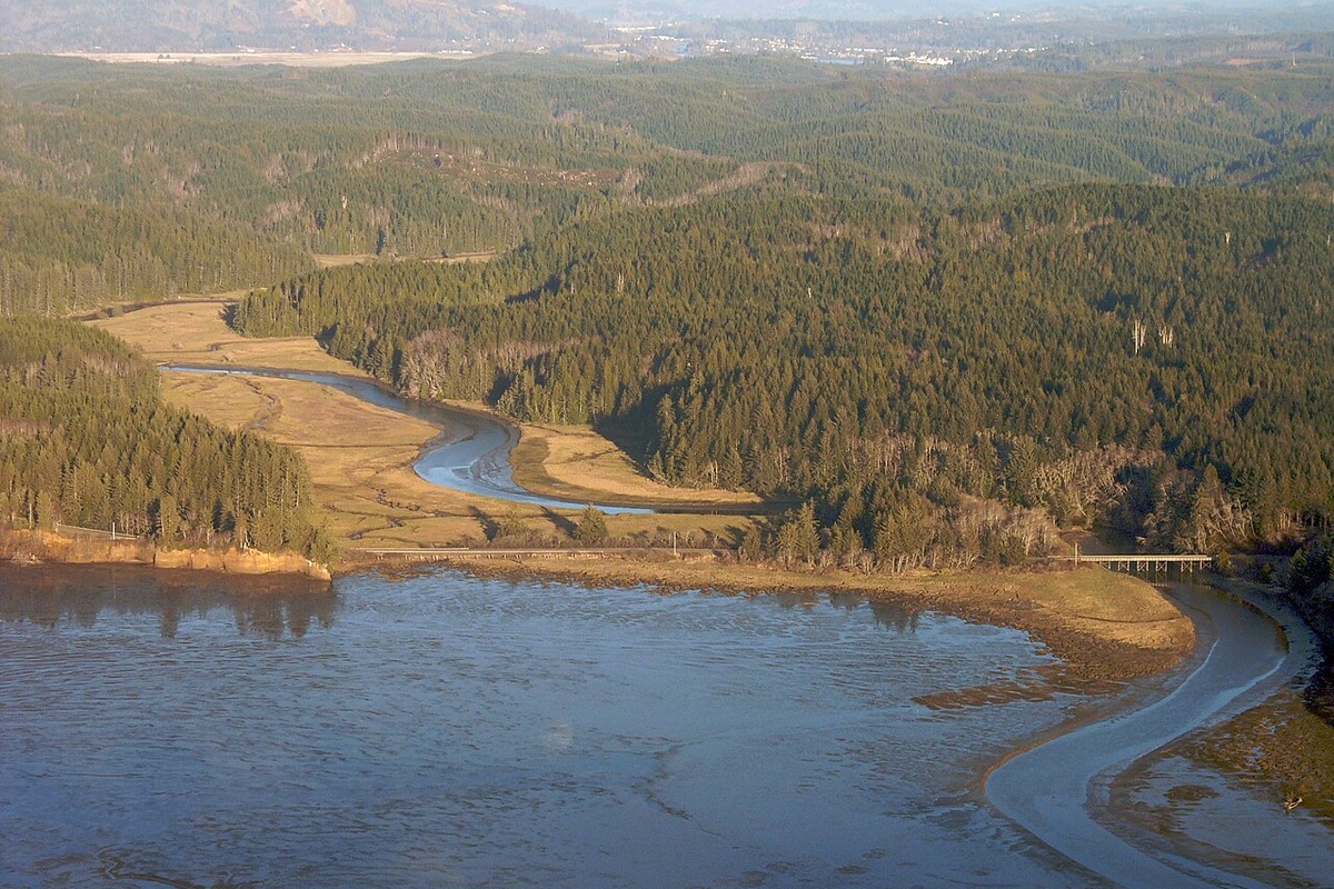 Shellfish Bay Portions of Willapa Bay Cleared for Shellfish Harvesting, Mandated Lot