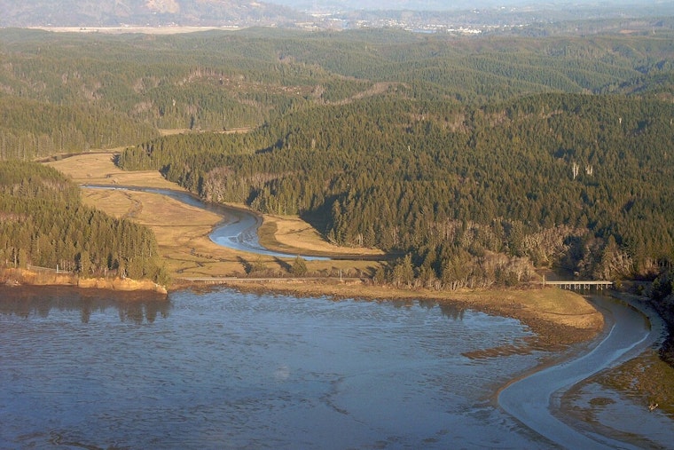 Portions of Willapa Bay Cleared for Shellfish Harvesting, Mandated Lot Testing Continues Washington State DOH Update