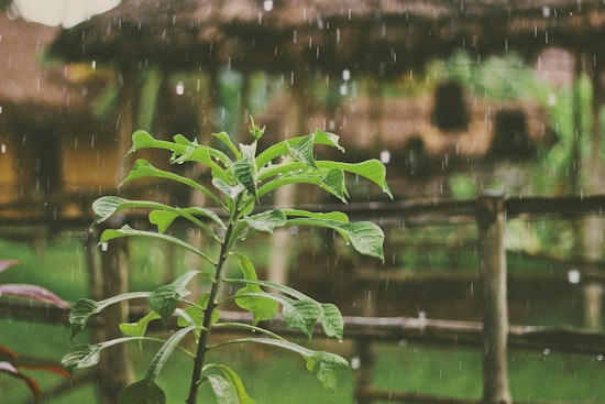 Portland Prepares for Wet Weekend, Thunderstorms Likely Before Clearing Trend Sets In