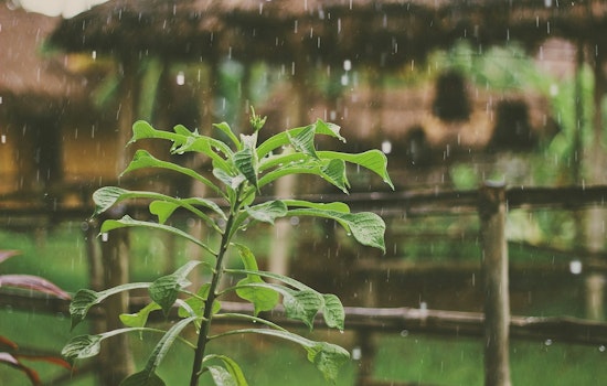 Portland Prepares for Wet Weekend, Thunderstorms Likely Before Clearing Trend Sets In