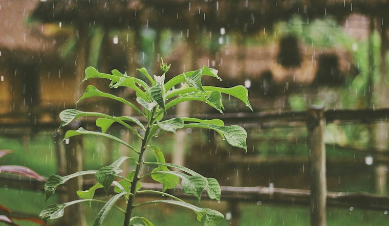 Portland Prepares for Wet Weekend, Thunderstorms Likely Before Clearing Trend Sets In