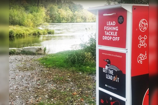 Ramsey County Aims to Protect Swans with Strategic Battle Against Lead Fishing Tackle at Sucker Lake